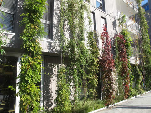 Groene voorgevel